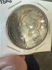 1886 $1 Morgan Silver Dollar - Awesome Toner - Crazy Toning