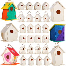 30 Pack DIY Wooden Birdhouse Kits for Kids - Fun Craft Activity 