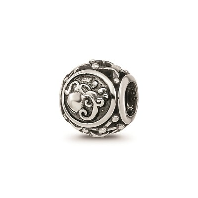 Reflection Beads Sterling Silver Antique Finish Zodiac Aquarius Collage Bead