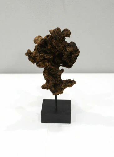 Driftwood naturaleza decoración contemporánea esculturas y estatuillas