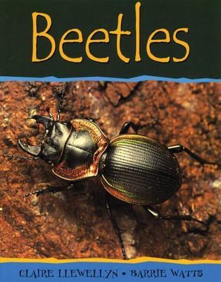 Beetles (Minibeasts) by Claire Llewellyn;  Barrie Watts