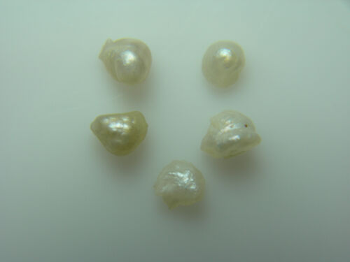 5 rare NATURAL MISSISSIPPI RIVER PEARLS uncultured Mermaid Tear seed USA America