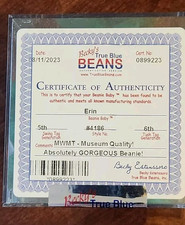 MWMT AUTHENTIC TY BEANIE BABIES ERIN BEAR Vintage Bean Bag Toy Graded Mint Teddy