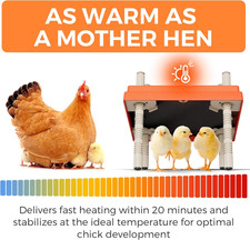 Chick Brooder Heating Plate with anti Stand Cone 10 X 10 Brooder Heater For