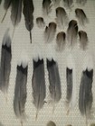 Bild 8 von 10