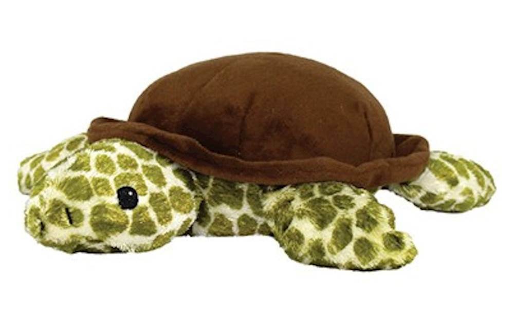 warmies turtle