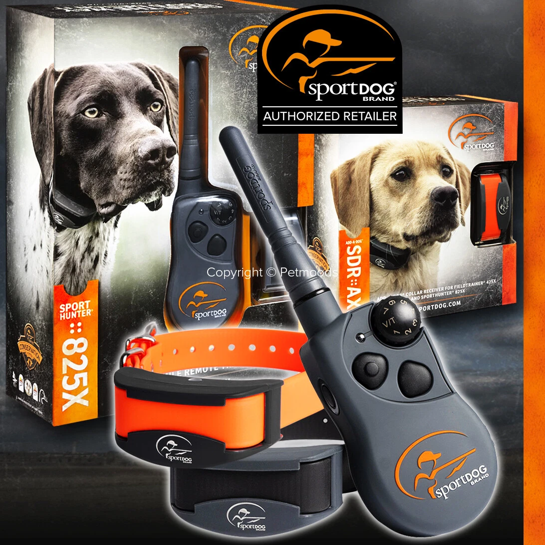 Sport top dog 825x