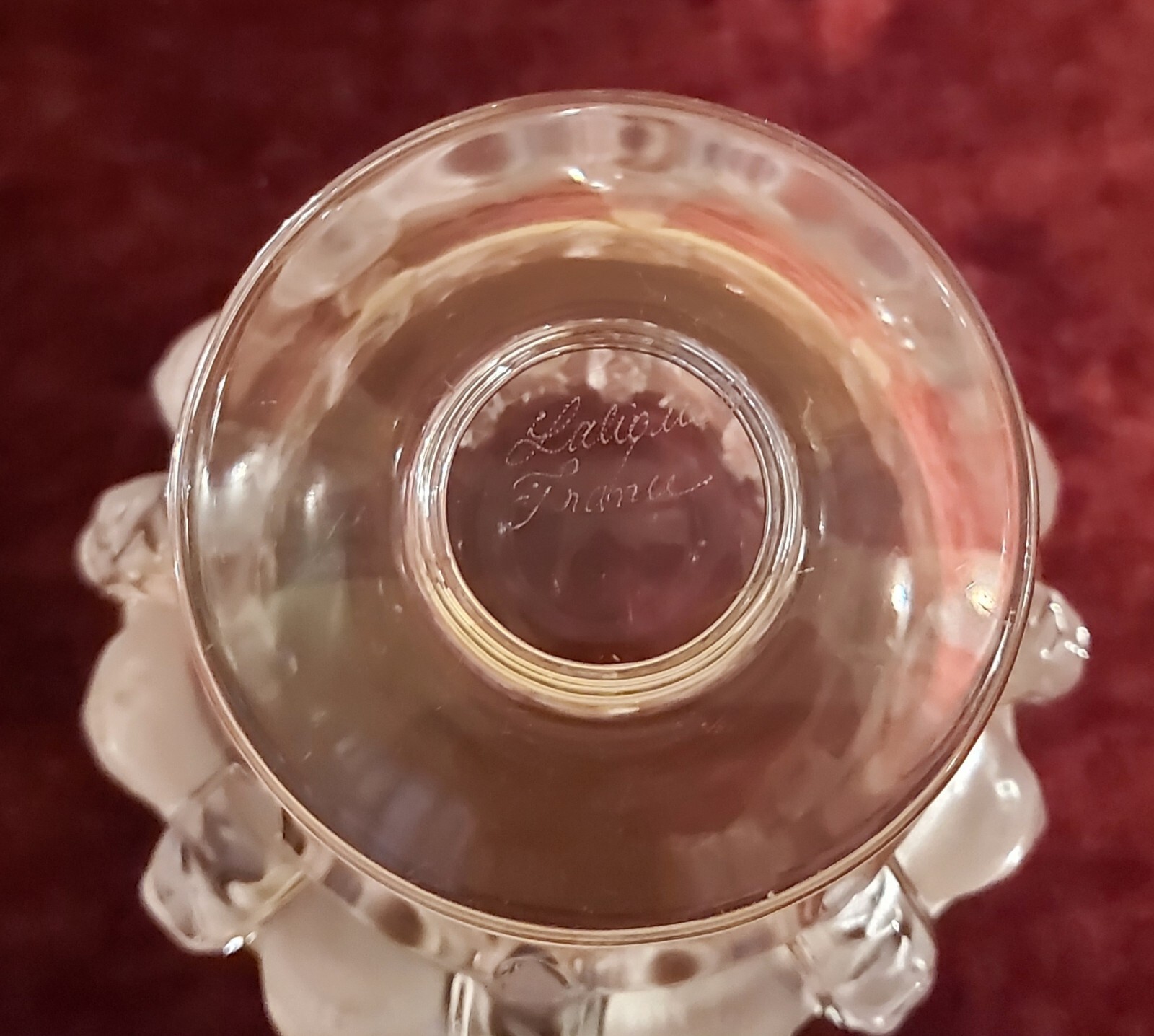 Vase Cristal Lalique oiseaux modèle Dampierre eBay