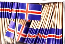 Box of 100 Iceland Toothpick Flags, 100 Small Mini Icelandic Flag Cupcake Picks