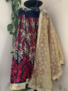 ebay chaniya choli