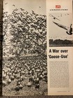 LIFE Magazine October 14 1966: James Bond NFL Ronald Reagan Rubens Chevy vs Ford — photo 8