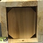 Picture 4 of 4