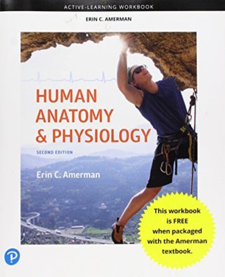 Active-Learning Workbook for Human Anatomy and Physiology    by Erin Amerman