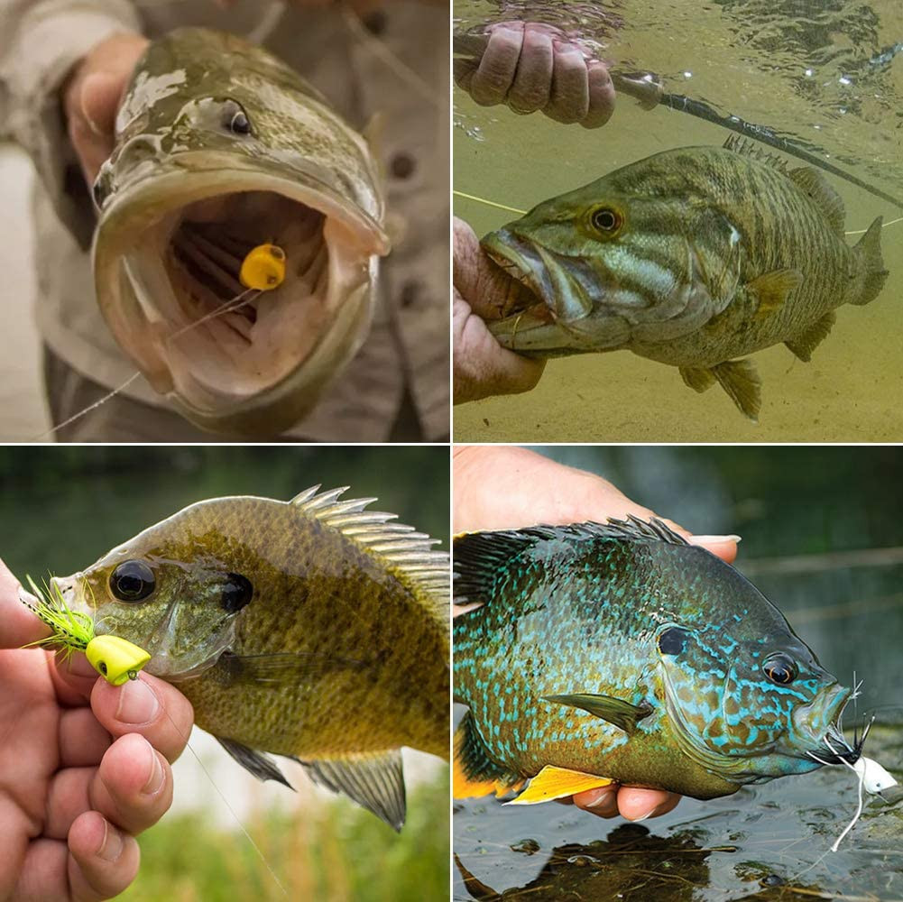 Popper-Flies-For-Fly-Fishing-Topwater-Bass-Panfish-Bluegill Poppers Fl - Image 8