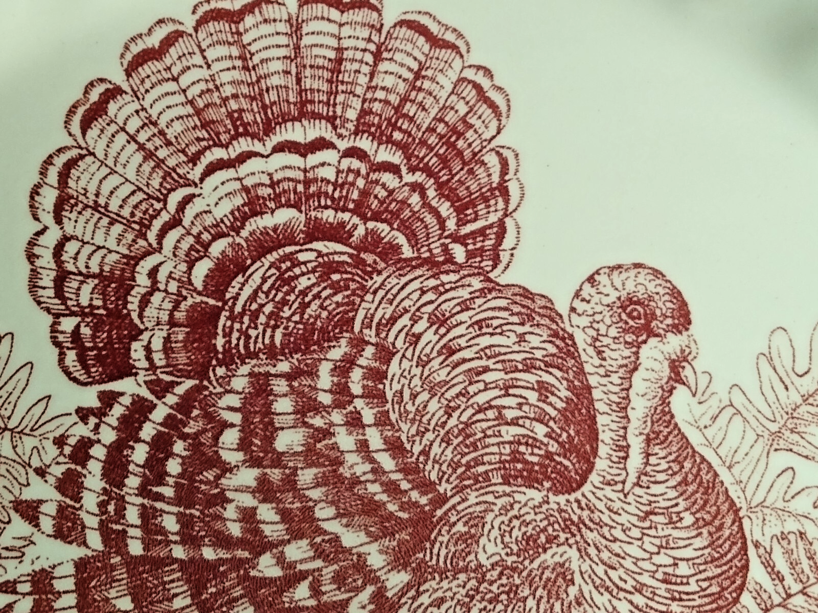 Picture 3 of 8