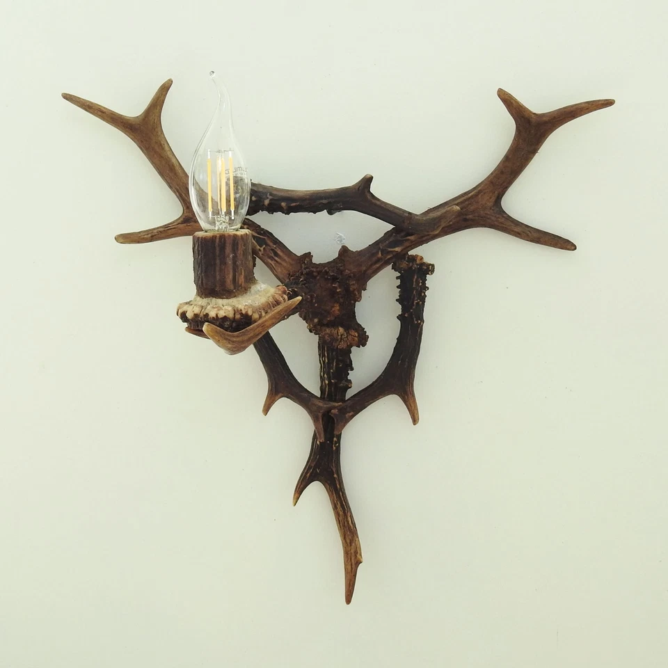 Aplique de pared pequeño con astas de corzo reales Foto 4 de 4