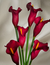 26" Cranberry real touch calla lily stems  6 