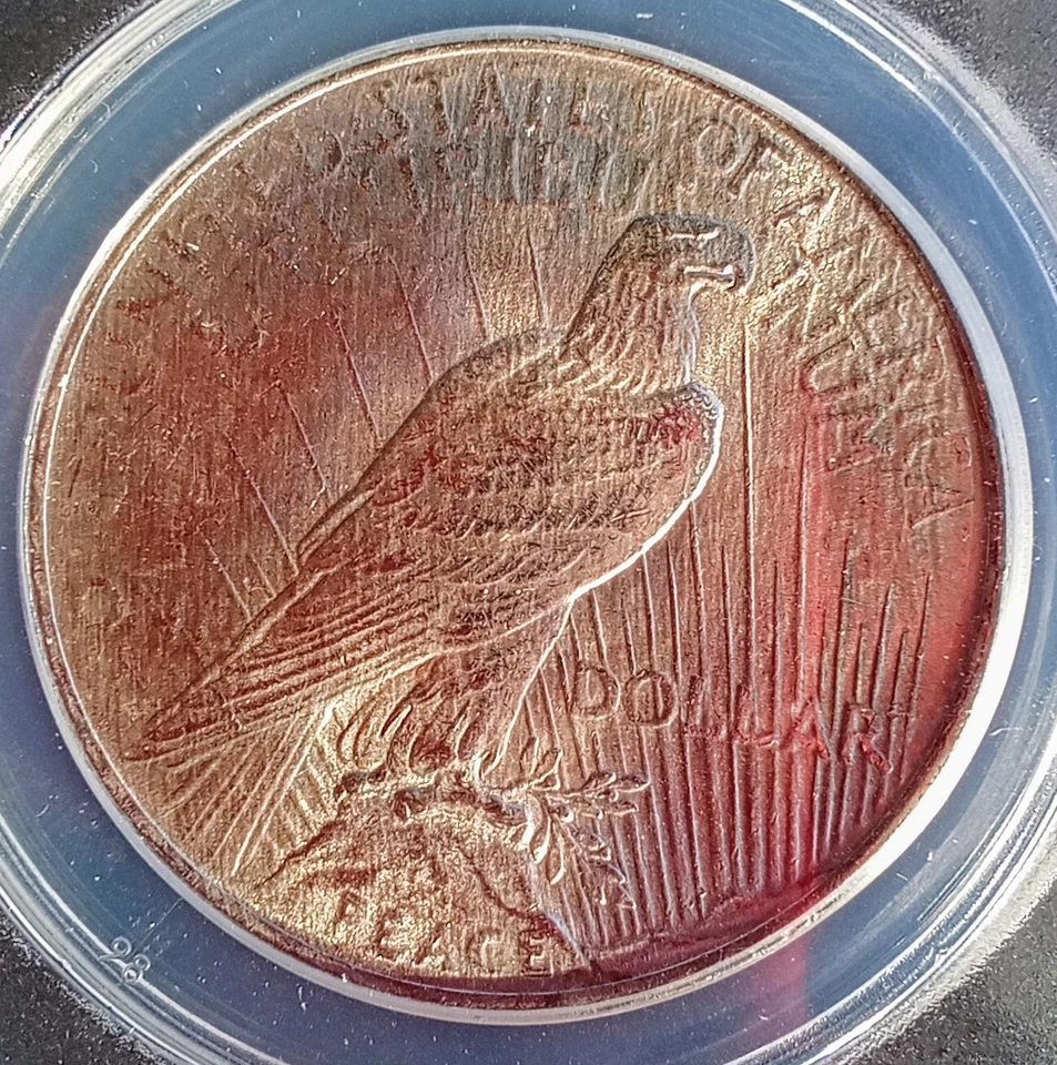 1922 P  Silver Peace Dollar ANACS Graded MS 61 Beautiful Condition. - Image 2 of 4