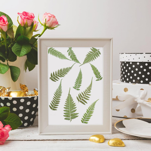200 Pcs Pressed Dried Flowers Leaves Real Natural Ferns Dried Leaves - Afbeelding 4 van 7
