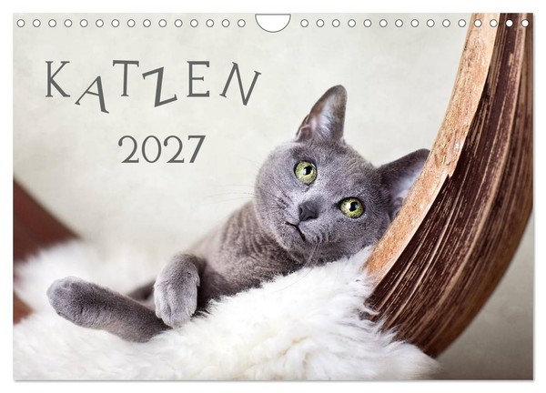 "Calendar 2027 · US Version · Cats 2027 (Wall Calendar 2027 12\" × 8\" Landscape),"-image
