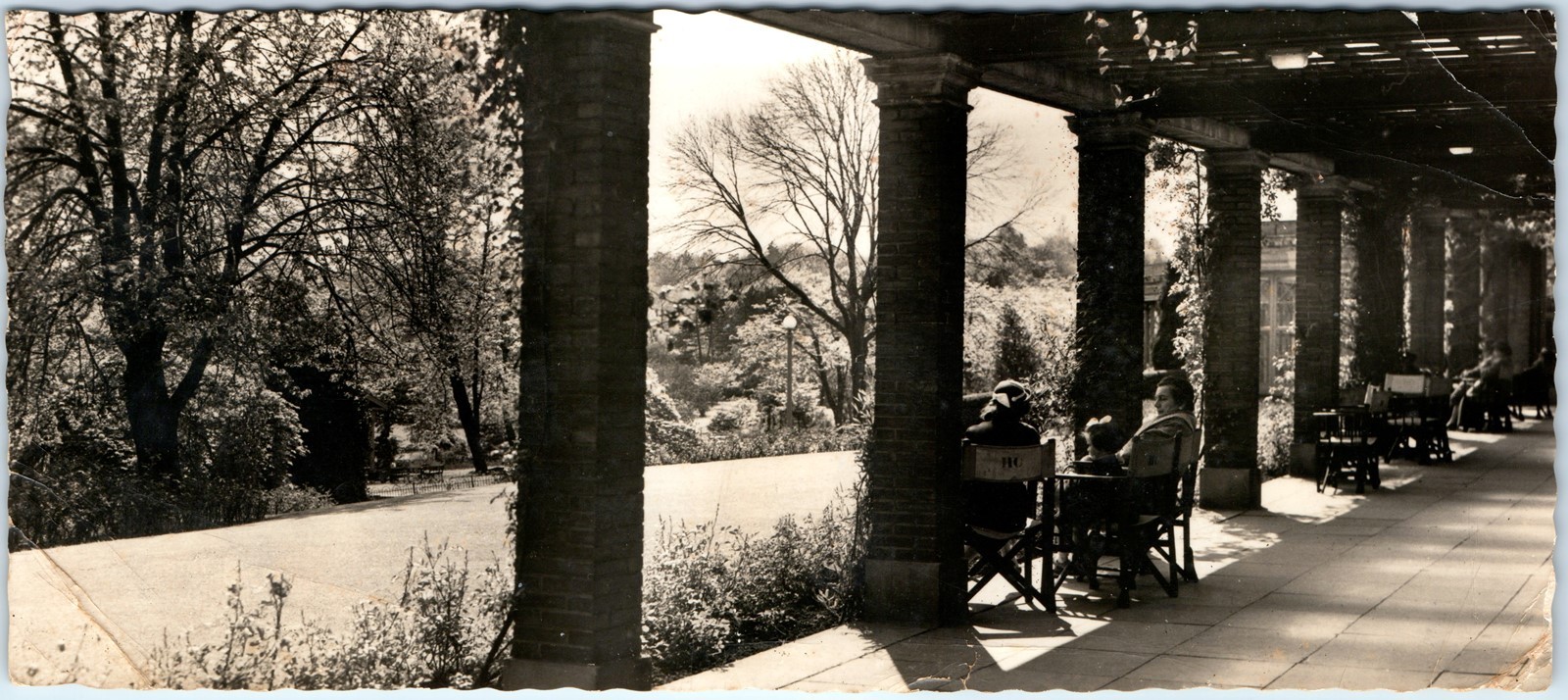c1959 Harrogate UK RPPC Valley Gardens Colonnade Park Seating Oversized PC 8P