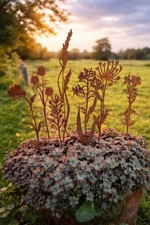 7er Set Sommerblumen Edelrost rostige Gartendeko Blüten Blumen Gartenstecker