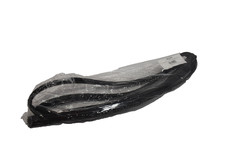 True Door Gasket 25 5/8 x 54 1/8 Replacement for GDM-49 T-4 810803