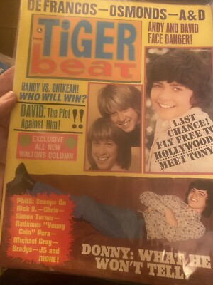 Tiger Beat Magazine Teen September  1973 Issue Bagged !