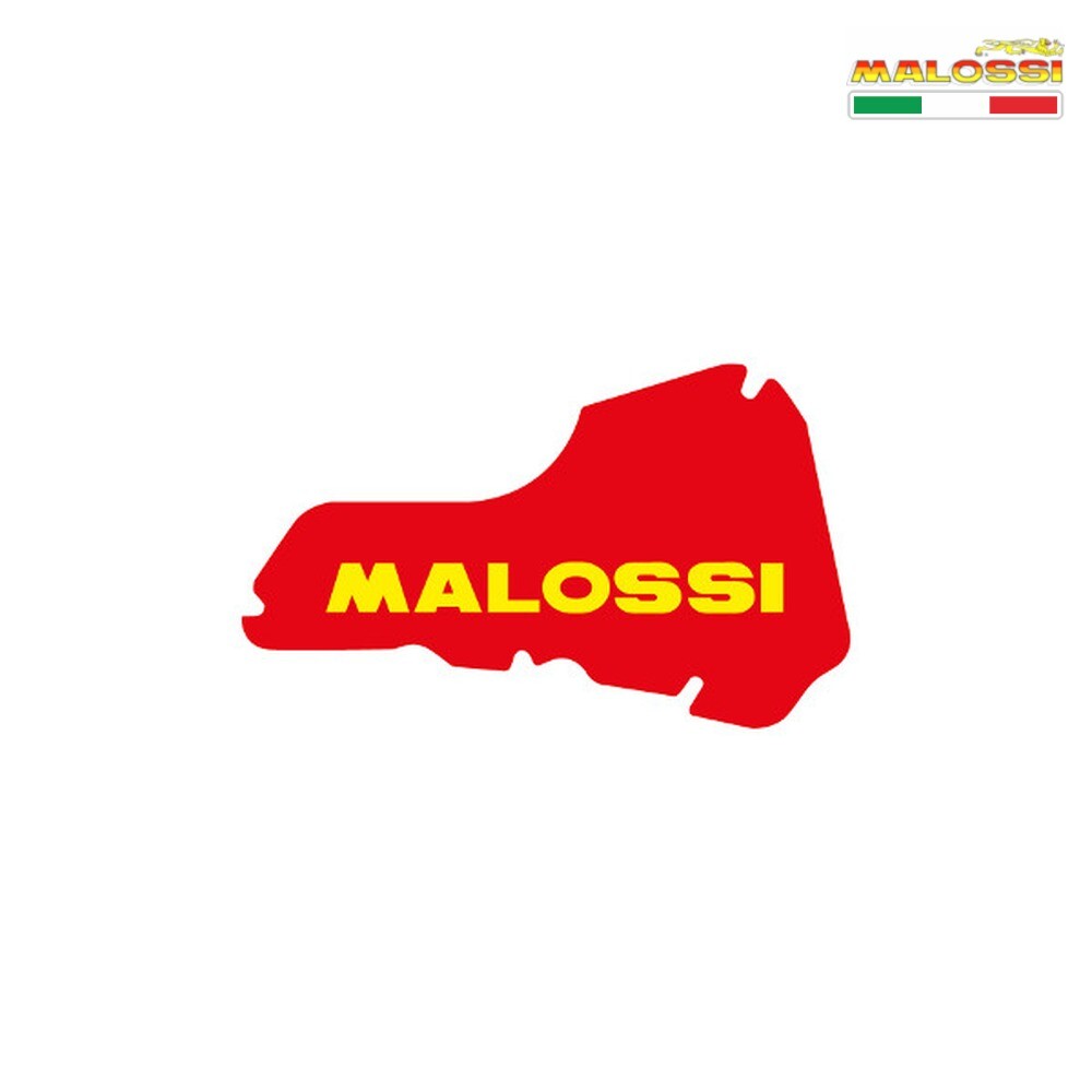 M1411425 Schwamm Luftfilter MALOSSI Piaggio Roller 125 Hexagon LX4  