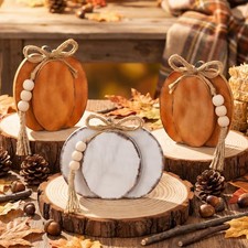 3 Pcs Fall Pumpkin Decor Fall Wooden Signs 3D Pumpkin Tabletop Signs Farmhouse T