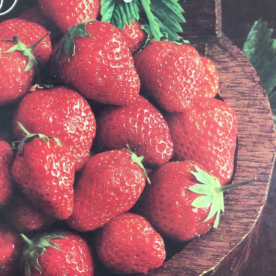 De colección ~ Rompecabezas de oro ~ Tazón de fresas ~ 550 piezas ~ Sellado de fábrica ~ 15,5 x 18 Foto 3 de 4