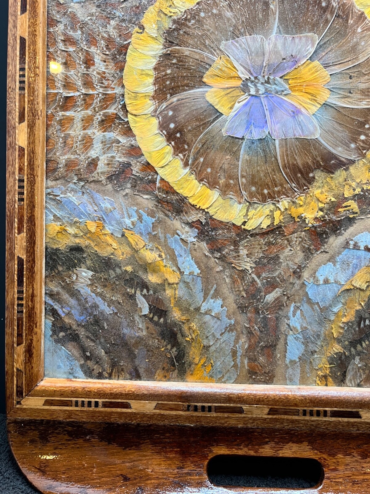 Vintage Brazilian Butterfly Wing Wood Serving Tray String Inlay Brazil ...