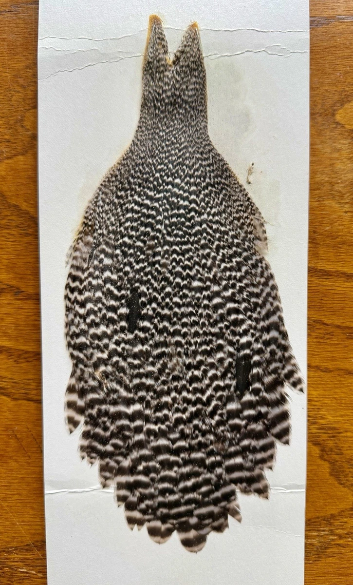 Metz Whiting Fishing Fly Tying Materials for sale | eBay