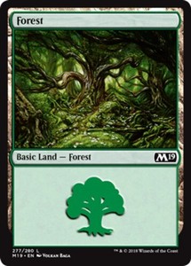 Forest (277) - Foil x1 - Magic 2019 - NM-Mint, English - Magic 2019