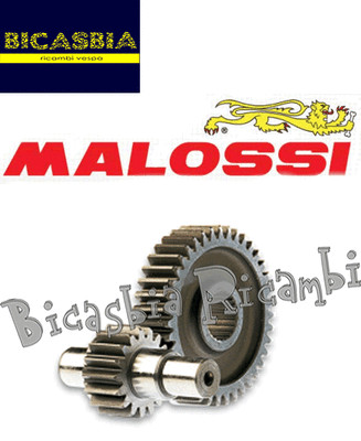 6969 - Secondary Gears Malossi Z 13/48 Aprilia 50 SR Carburetor | eBay