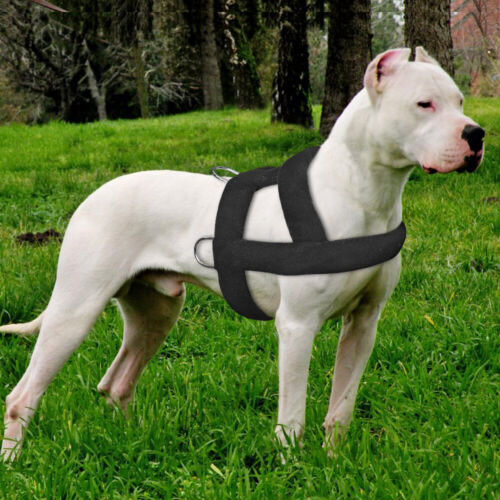Imbracatura per traino pesi cane resistente per cani di grandi dimensioni esercizi per addestramento gilet pitbull - Foto 11 di 14