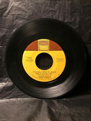 Mary's Mine marvin 7インチ 1967 Marvin Gaye IF THIS WORLD WERE MINE (45RPM 7” Single) Tamla