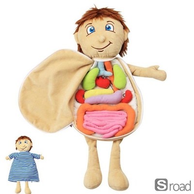 Human Body Anatomy Plush Toy Educational Doll Removable Organs Medical Learning
