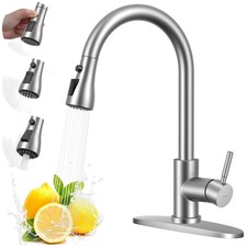 Brushed Nickel Kitchen Faucet with Pull Down Sprayer