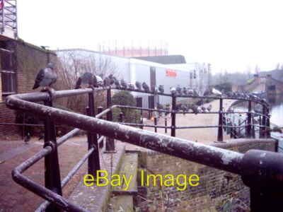 Foto 6x4 Beobachte die Vögel....... Kensal Stadt Einige Tauben warten auf s c2007