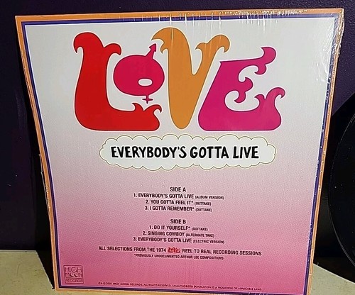 LOVE Everybody's Gotta Live 12" EP RECORD STORE DAY Limited ED 2500 Copys - 第 5/7 張圖片