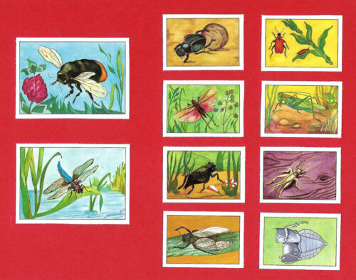 POSTER STAMPS INSECTS MUSICIANS CRICKET GRASSHOPPER CICAL DRAGONFLY BUMBLEBEE  - Picture 1 of 2