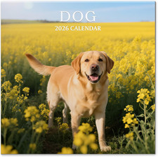 2026 Calendar, Wall Calendar 2026, Dogs 12 Month Wall Calendars Jan - Dec 2026 