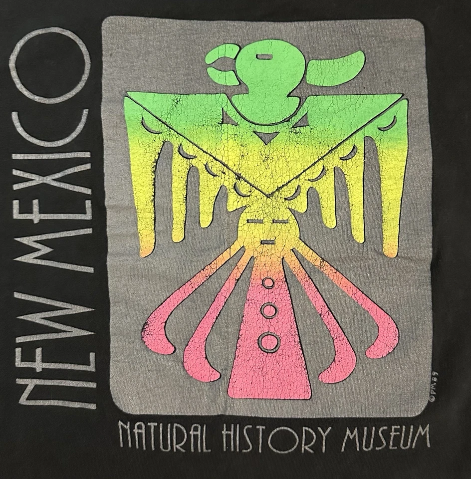 复古 1989 年新墨西哥州自然历史博物馆旅游目的地黑色衬衫男式 LG — 第 3/4 张图片