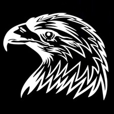 Bald Eagle Vinyl Decal Car Window Laptop Tablet Tumblers Variety of colors