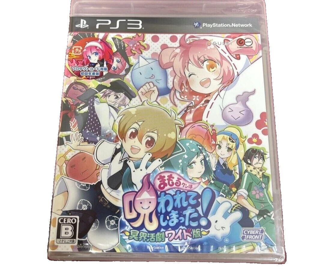 Sony PlayStation 3 Shooter NTSC-J (Japan) 2011 Video Games