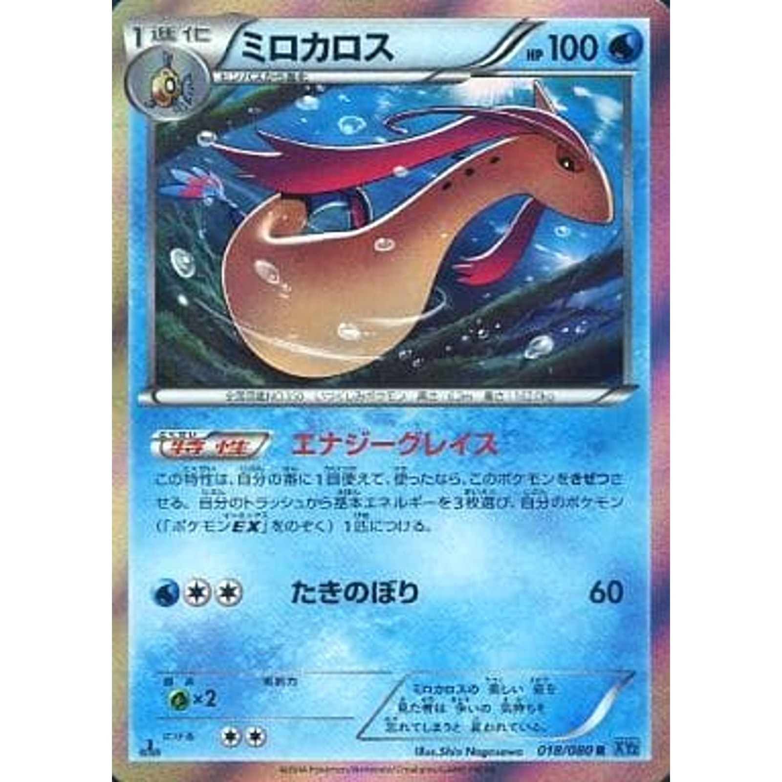 Pokemon Milotic Holo R 018/080 XY2 Wild Blaze Japanese Card