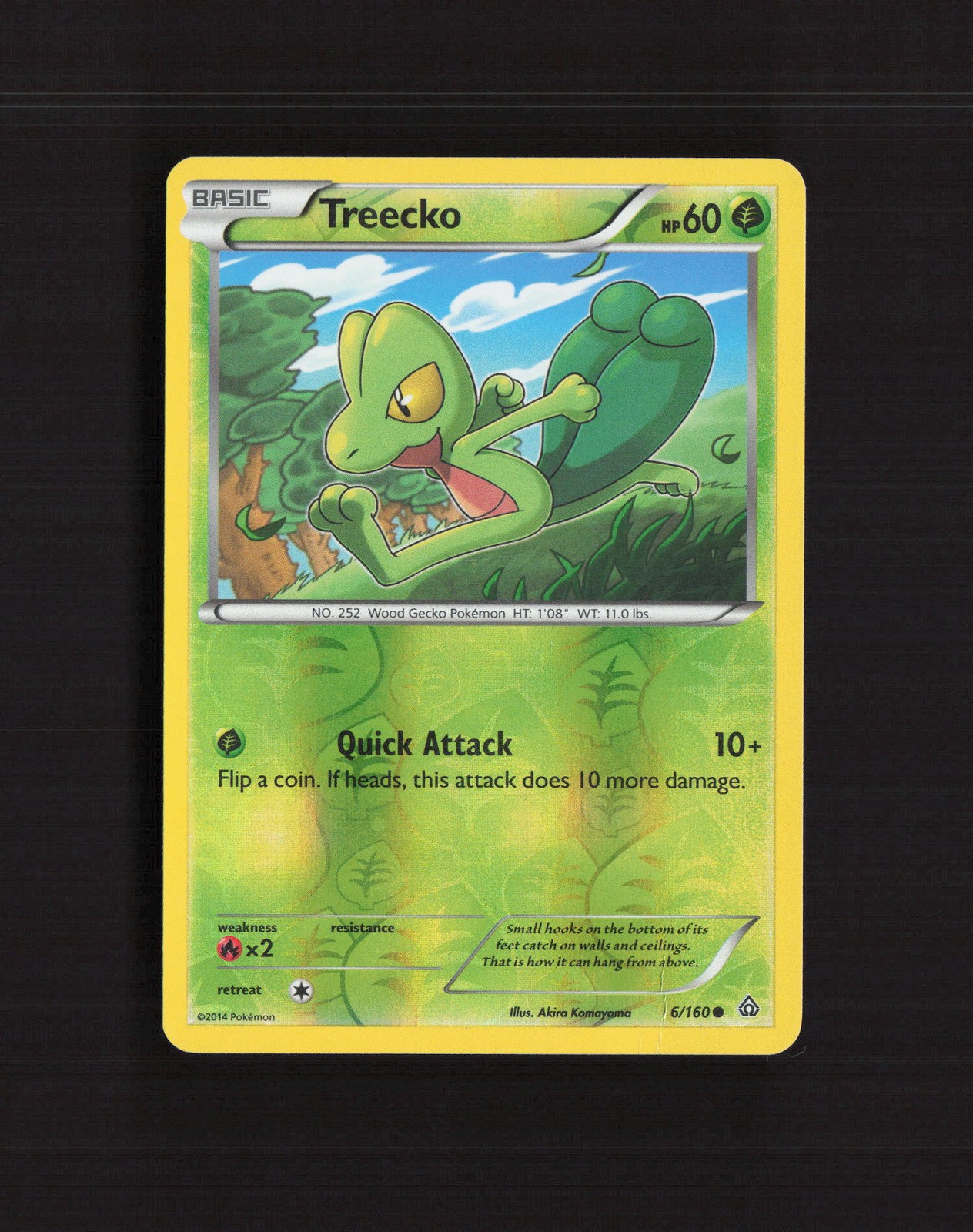 Treecko 6/160 Primal Clash Reverse Holo Pokemon Card DMG
