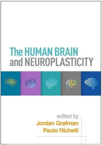 Jordan Grafman (U. A.) | The Human Brain And Neuroplasticity | Buch | Englisch-image