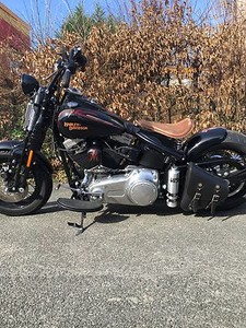 harley crossbones saddlebolsas